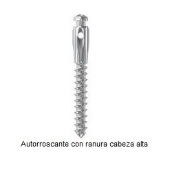 Mini Implantes Ortodónticos Leone cabeza alta 10mm(L)x2mm(D) (Autoroscante con Ranura) (Envase 1u.)