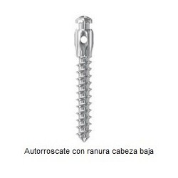 Mini Implantes Ortodónticos Leone cabeza baja 10mm(L)x2mm(D) (Autoroscante con Ranura) (Envase 1u.)