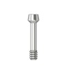 Abutment screw Ball Torx M 1,6