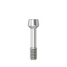 Abutment screw Ball Torx M 1,6