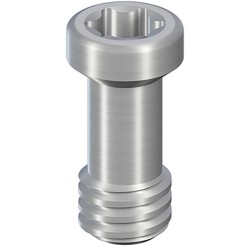 CI Basal screw, CI RD Temp./Vb.Abt.,Ti