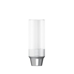 CoCr abutment rotating D 4,2