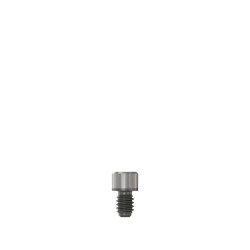 Conical Abutm Coping Neotorque Screw Ti5