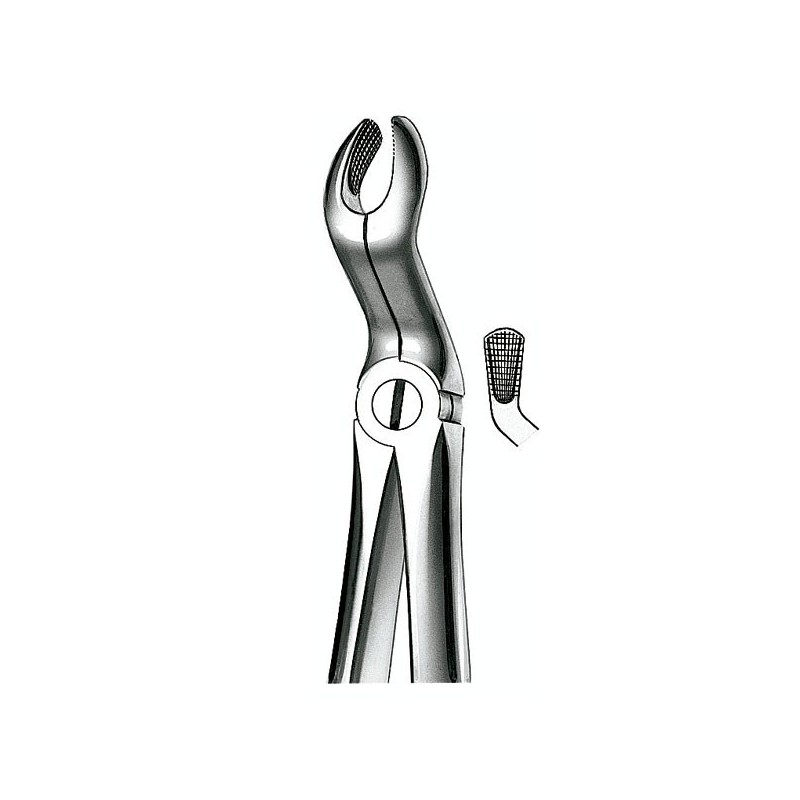 E67A FORCEPS N.67A CORDAL SUP.