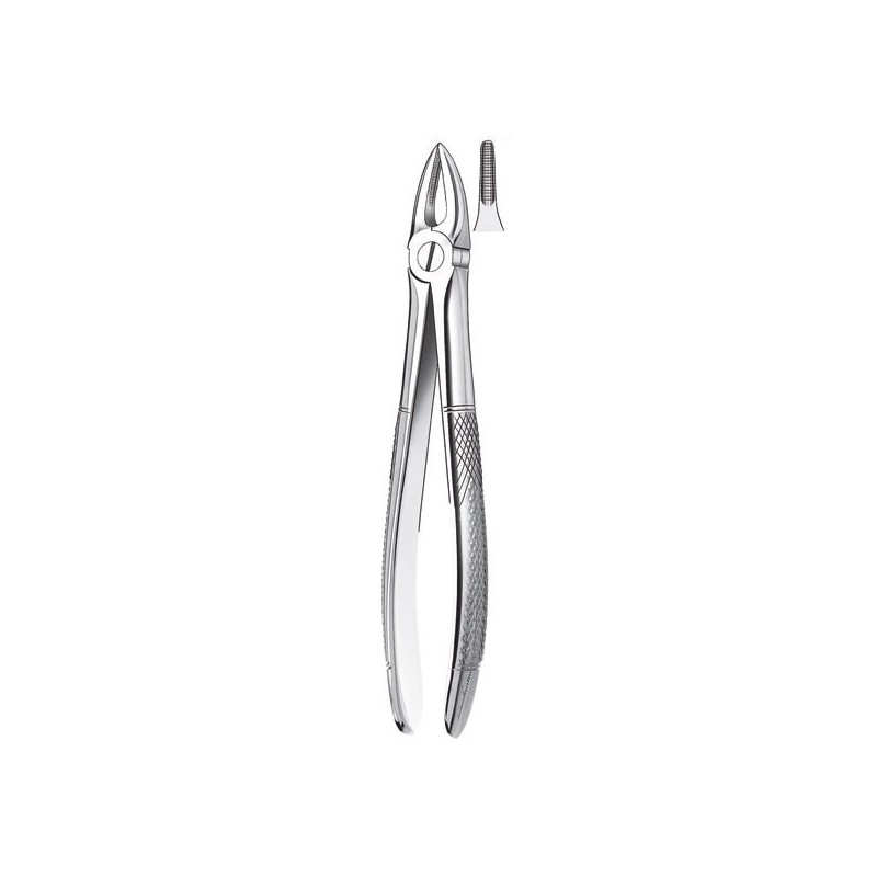 29 FORCEPS