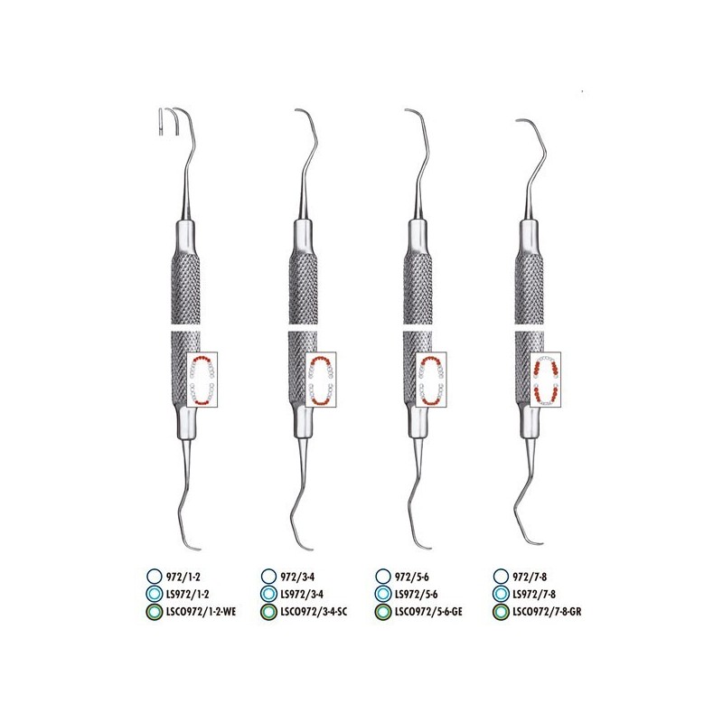 972/1-2 GRACEY ANTERIOR