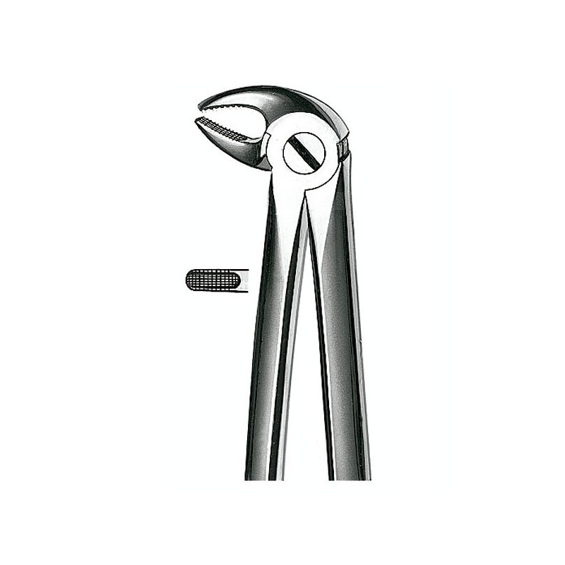 E13 FORCEPS N.13 PREMOLAR INF.