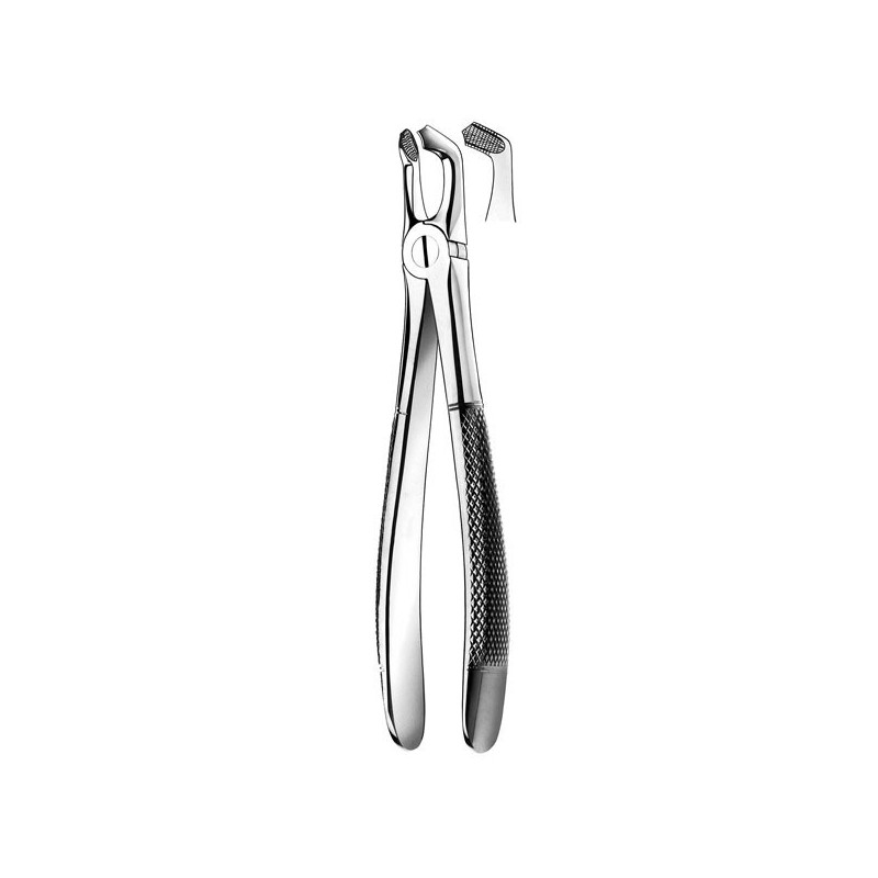 E79 FORCEPS N.79 CORDAL INF.