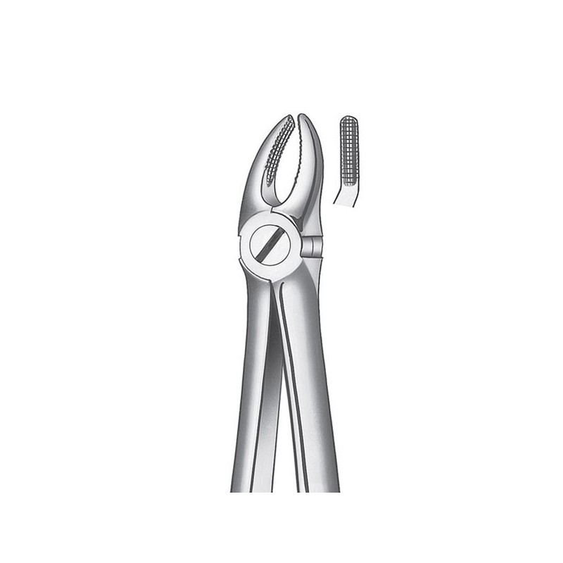 7 FORCEPS PREMOLAR SUPERIOR