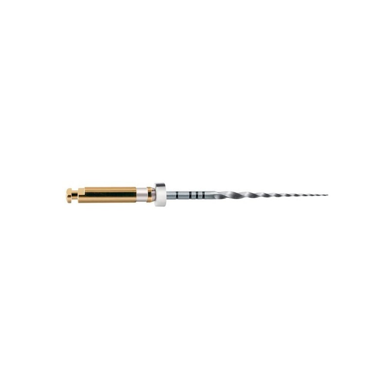 LIMAS PROTAPER GOLD S2 31mm. 6u. (A0410-2)