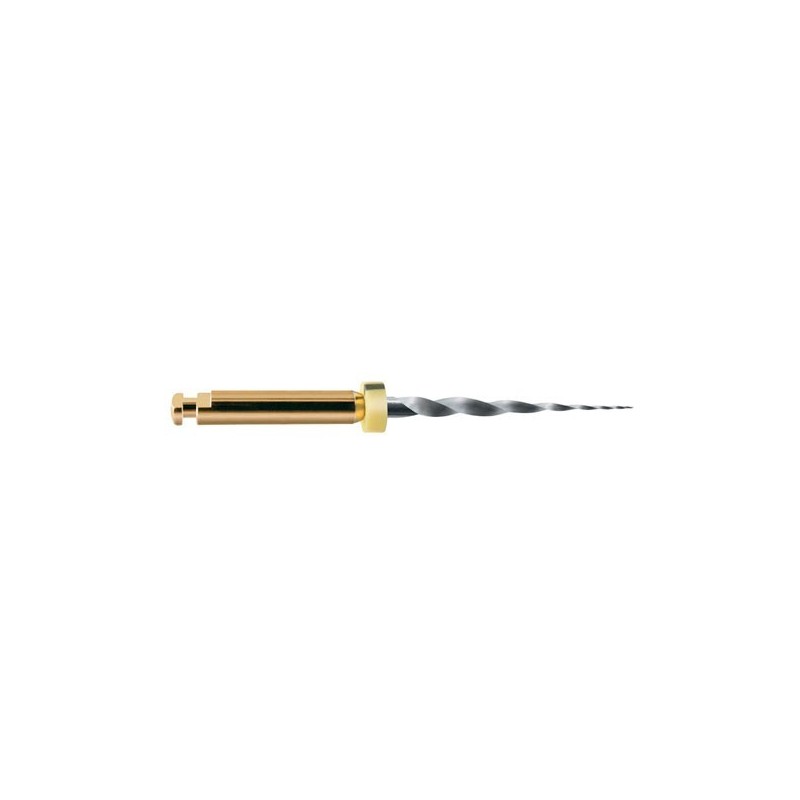 LIMAS PROTAPER GOLD SX 19mm. 6u. (A0410-X)