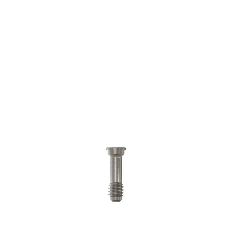 Mini Conical Abutm 17 Screw Ti 3.3