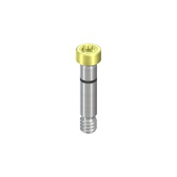 NC Basal Screw, (for ceramic only)