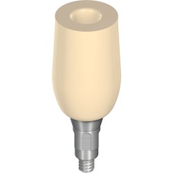 RC Temporary abutment CAD-Temp®