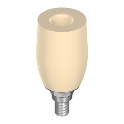 RN Temporary abutment CAD-Temp®