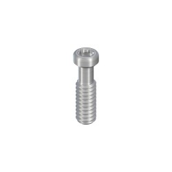 SCS occlusal screw, long, length 7.6 mm