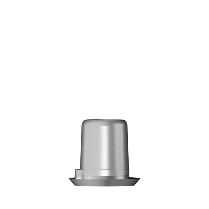 Ti base Zirconium abutment D 4,1