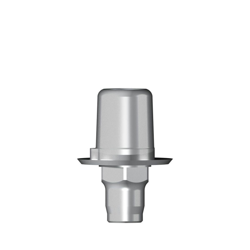 Ti base Zirconium abutment D 5,0