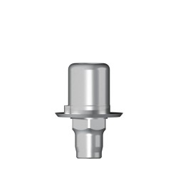 Ti base Zirconium abutment D 5,0