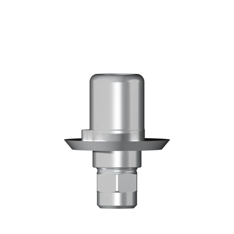 Ti base Zirconium abutment D 5,5