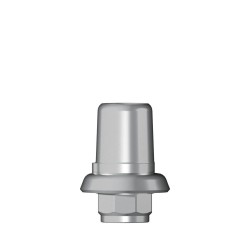 Ti base Zirconium abutment RN 4,8